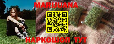 индика Кулебаки