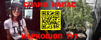 крисы Кунгур