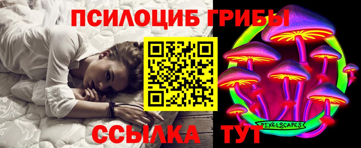Псилоцибиновые грибы Cubensis Ликино-Дулёво